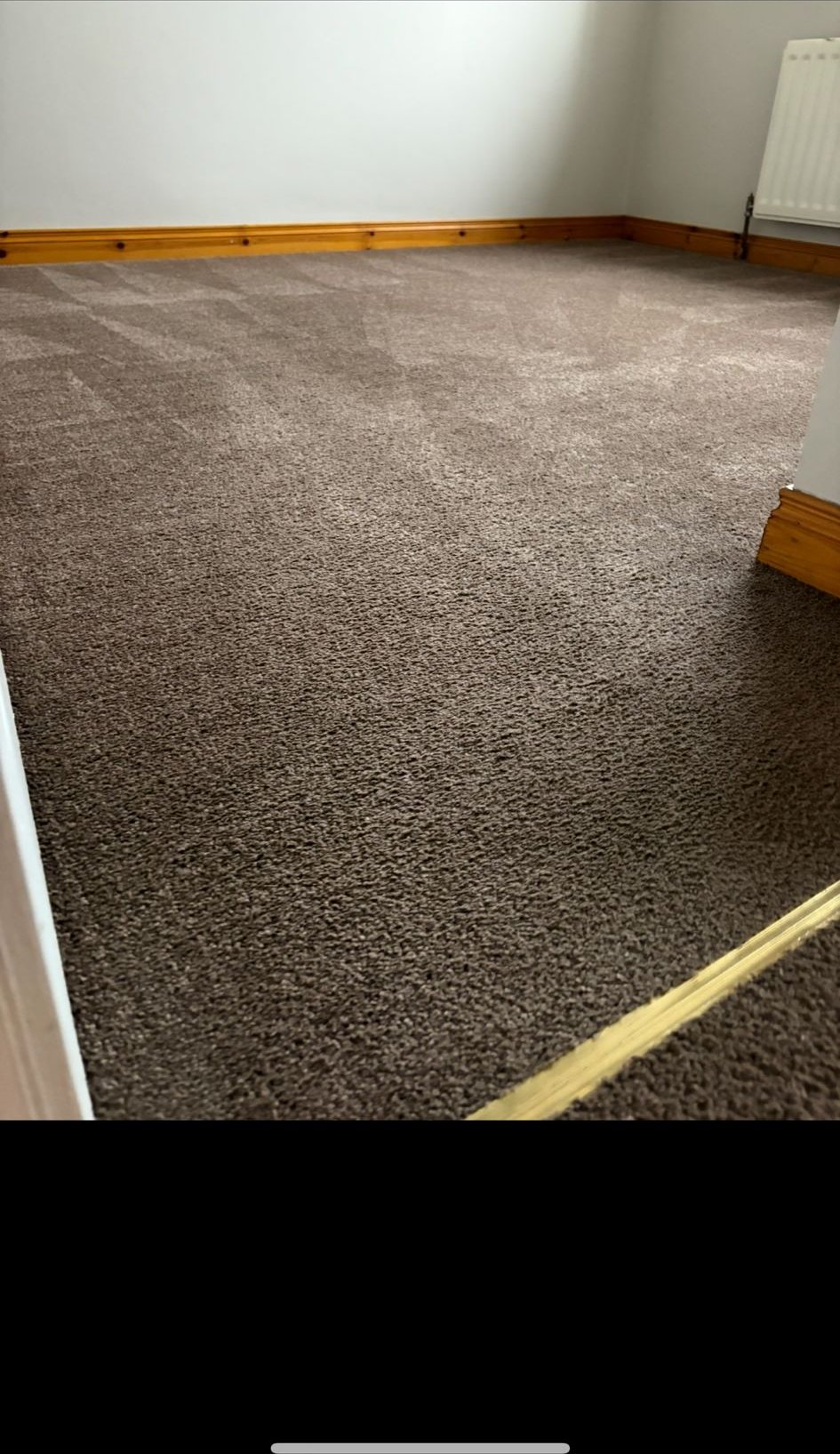 Room carpet freshly cleaned with visible clean lines